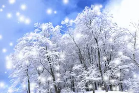 2020年的第一场雪图片