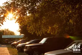 满满正能量的10句话，激励低谷中的你图片