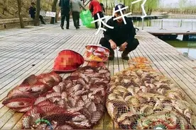 黑坑钓鲤鱼不得不说的秘密，这是空军到坑冠的转变图片