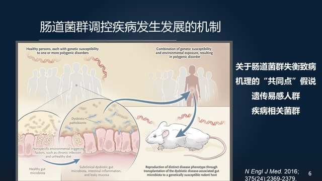 庞艳莉：22分钟详解肠道菌群与代谢疾病