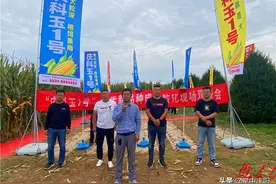 庆阳市农科院举办“庆科玉1号”玉米新品种成果转化现场观摩会图片