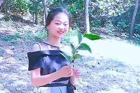下午好！一首好听的情歌《可不可以》送给大家，句句实在