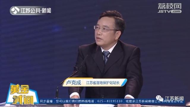 再不用靠进口！全国近1/3的碧根果竟产自江苏这里丨黄金时间