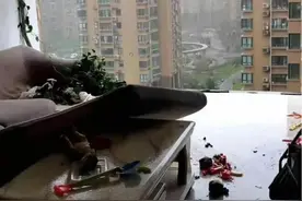 官方通报女子台风天关窗坠亡原因，这个提醒值得注意图片