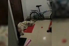 父母打麻将凌晨未归，兄妹俩睡楼道等人，邻居：孩子爸妈说别多管闲事图片