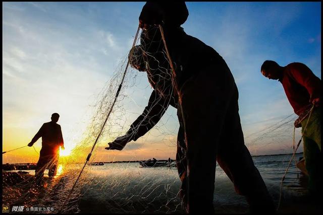 如何泡发干鱼皮 2026年怎么泡发干鱼皮 如何泡发干鱼皮 2026年怎么泡发干鱼皮