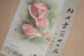 《经典云兰四十品》当文化牵手兰花图片