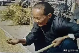 儿时的记忆▪做砻 | 作者金炳尧图片