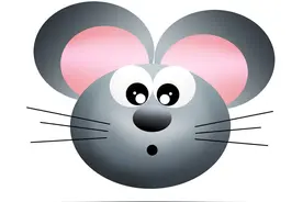 半尺老鼠窗台跳舞，夜半上床咬人脸图片