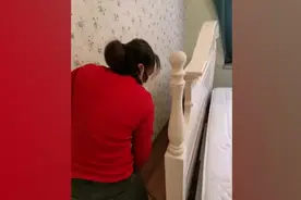 （视频）@太原人！女子大扫除发现失踪12年的乌龟：养了1年陪了我12年图片