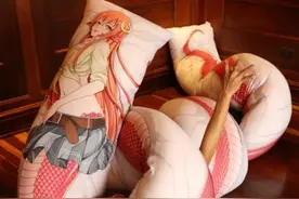 网友晒奇葩抱枕，7米长的不算啥，还有美少女化身表情包图片