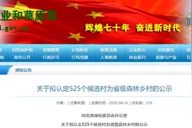 最新公示！河北525村要有省级荣誉，祝贺图片