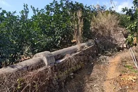 山里这些水泥管好神奇，不用电不用人竟能把水抽上山，怎么回事？图片