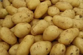 今天才发现，土豆这样保存，放一年不发芽不变绿，真的太实用了图片