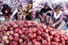 花牛苹果跌至6毛，当季冬枣“烂市”，葡萄柚大跌3元，水果咋了？图片