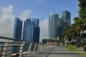 新加坡人家里几乎不做饭，没时间没条件，小贩中心物美价廉还可靠图片