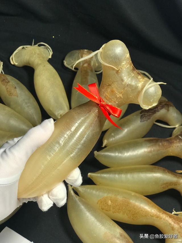 蜘蛛鱼胶图片价格 蜘蛛鱼胶功效作用