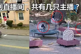 在如今最牛逼的直播间里，没有主播图片