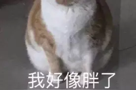 「表情包」 - 减肥瘦身篇图片