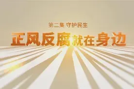正风反腐就在身边丨第二集《守护民生》图片