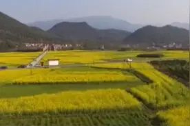 最是一年春好处！各地鲜花陆续绽放 赏花正当时图片