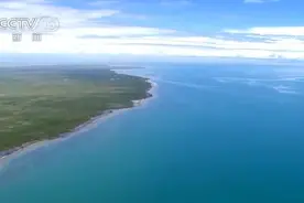 青海湖湟鱼资源蕴藏量突破10万吨图片