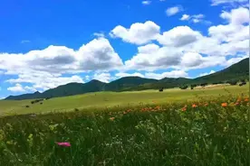 就是“牛”！看扎鲁特草原牧民的新生活图片