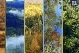 木林森！真养眼图片