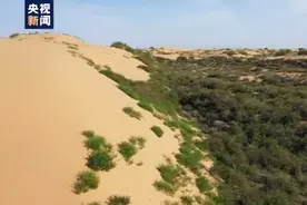沿着高速看中国·乌玛高速丨毛乌素沙地披绿装 农牧民增收致富图片