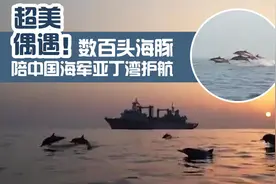 超美偶遇！数百头海豚陪中国海军亚丁湾护航图片