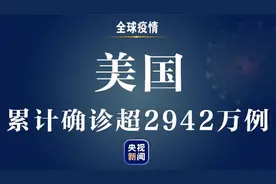 美国累计新冠肺炎确诊病例超2942万例图片