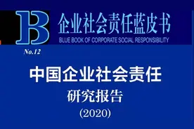 一起了解“企业社会责任”→《企业社会责任蓝皮书（2020）》发布图片
