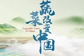 蔬菜改变中国 近10亿中国人吃的蔬菜都来自寿光图片