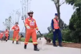 “坐！卧！搜！”四川35只搜救犬实战救援能力大比拼图片