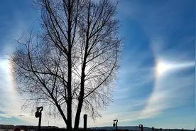 漠河出现日晕奇观 七色彩虹“多日同辉”图片