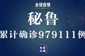 秘鲁新增新冠肺炎确诊病例1799例 累计确诊979111例图片