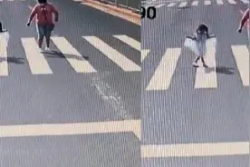 可爱！公交司机礼让行人过斑马线 小女孩行“公主礼”致谢图片