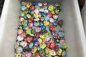 这种五颜六色的小动物火了，有广东的小朋友也买过，专家：别碰图片