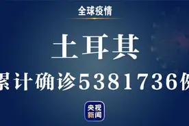 土耳其新增6143例新冠肺炎确诊病例 累计确诊5381736例图片