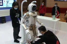 ​机器人”身怀绝技“中国（太原）人工智能大会上演科技盛宴图片