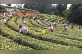 国际人士眼中的中国共产党丨总台记者专访科摩罗总统阿扎利图片