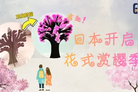 有趣！日本便携版“魔法樱花树”12小时樱花“满开”图片