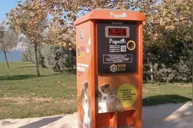 ​关爱流浪小动物 土耳其自动投食机上线图片