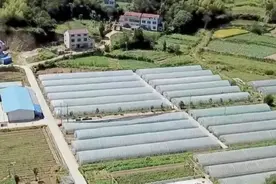 “赚农民钱不叫本事，能帮农民去赚钱，才是我们的本事！”图片