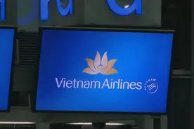 新冠疫情致越南航空业遇冷 越航接近清偿能力的极限图片