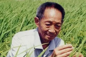 铭记，袁隆平说过的那些话图片