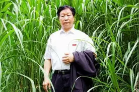 面对面丨“菌草之父”林占熺：要把论文写在祖国大地，写进农民钱袋图片