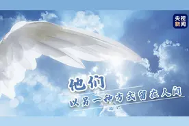 这些“天使”，以另一种方式留在人间图片