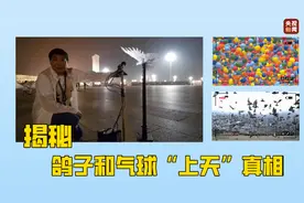 独家揭秘丨庆祝大会上 鸽子和气球“上天”真相图片