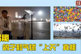 独家揭秘丨庆祝大会上 鸽子和气球“上天”真相图片